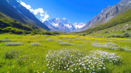 Fototapeta premium Majestic mountain landscape with wildflowers and clear blue sky in lush green valley