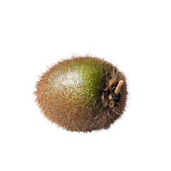 Kiwi with fuzzy brown skin and vibrant green flesh, captured in a professional food photo, emphasizing the natural texture, isolated on white background
