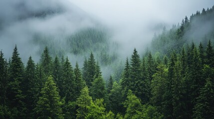 A dense forest at the foot of a towering mountain, with mist hanging in the air.