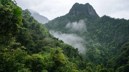 A dense forest at the foot of a towering mountain, with mist hanging in the air.