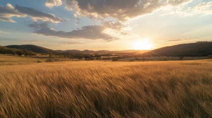 A serene sunset over a golden field, showcasing nature's beauty and tranquility.