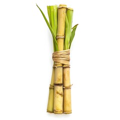 Fototapeta premium Fresh Sugar Cane on White Background for Agriculture Concepts