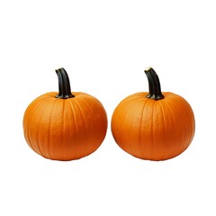 Fototapeta premium Two Fresh Orange Pumpkins Isolated on White Background