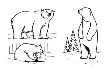 Line art bear various pose silhouette vector set on white background 