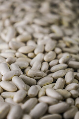 Fagioli bianchi cannellini. Legumi freschi.