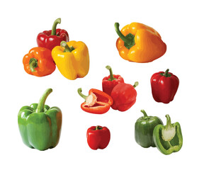 set of peppers vector illustration isolated on white background