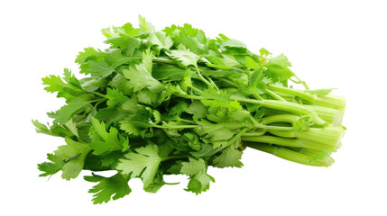 Fototapeta premium Bunch of fresh green celery on transparent background