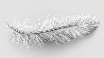 Obraz premium Single white feather, light background, soft texture, design element