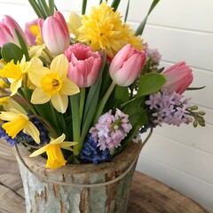 bouquet of tulips in a bucket