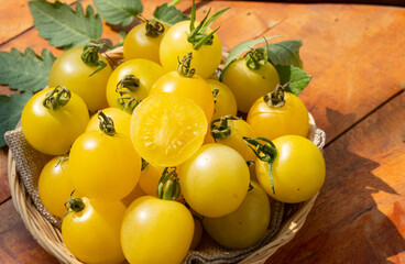 Sugar Moon Tomatoes. Yellow outside and inside of the tomato. Sweet and sour taste. Sugar Moon Tomatoes in a basket.