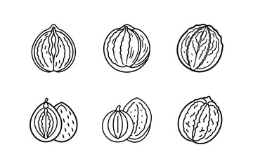 walnuts icon line art vector illustration