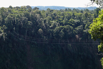 Tad Fane waterfall the most beautiful waterfall, which descends an amazing 120 meters, situated in the Bolaven Plateau, Southern Laos