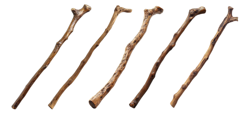 Set of rustic wooden walking sticks, isolated on transparent cutout