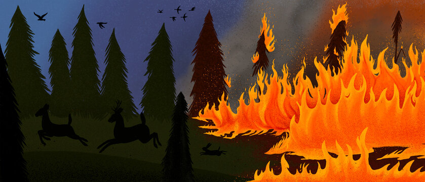 Forest consumed by fire as animals flee.