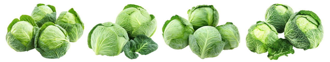Obraz premium Set of fresh green cabbage heads, isolated on transparent cutout background