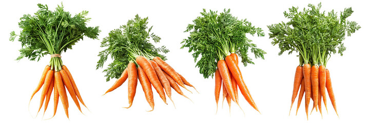 Set of bunches of delicious orange carrots with green tops, isolated on transparent cutout background