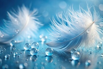 Serene Aquatic Scene Featuring Delicate White Feathers and Sparkling Water Droplets on a Smooth Surface