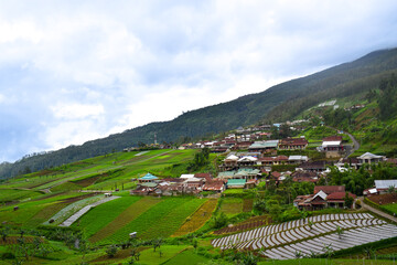 Fototapeta premium Landscape view of village on a green hillside with terraced rice fields, surrounded by mountains with a cloudy sky. Tawangmangu, Indonesia