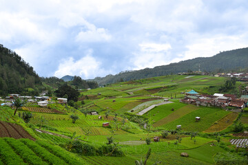 Fototapeta premium Landscape view of village on a green hillside with terraced rice fields, surrounded by mountains with a cloudy sky. Tawangmangu, Indonesia