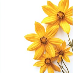 Obraz premium Colorful flowers on white background for decorative and floral arrangements