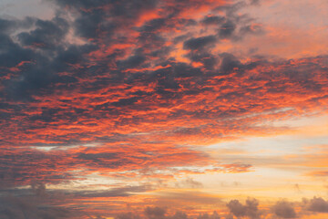 Obraz premium Pink cumulus clouds