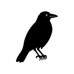 Black raven silhouette on white background isolated
