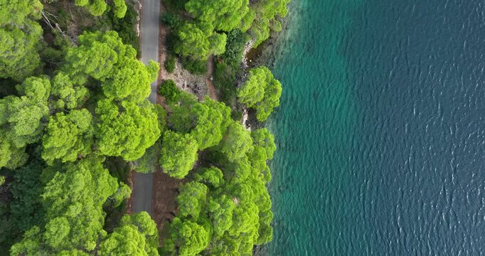 Lush green forest meets the clear blue waters of Mljet, captured from above