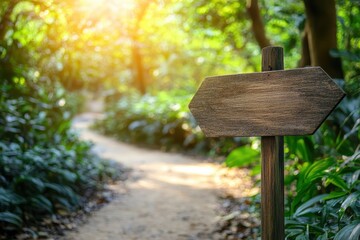 Fototapeta premium Wooden Signpost on a Sunny Pathway Surrounded by Lush Greenery