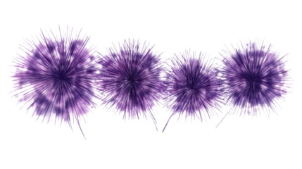 Four purple and pink tie dye explosions on transparent background
