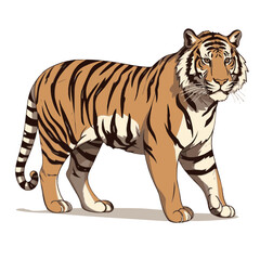 tiger