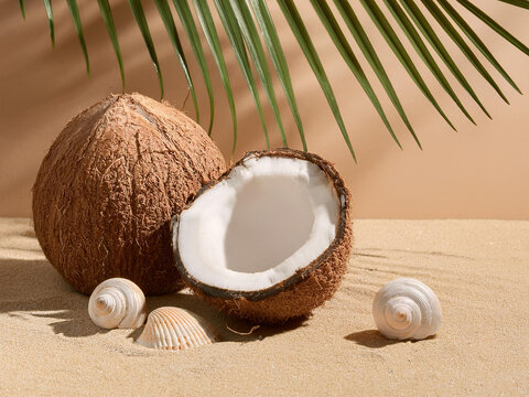 Coconat on the beach with shells