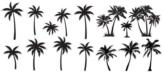 Black palm tree set vector illustration on white background silhouette art black white stock illustration
