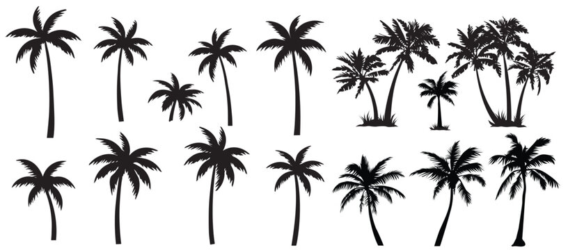 Black palm tree set vector illustration on white background silhouette art black white stock illustration