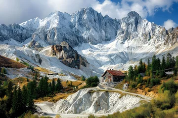 Poster de jardin  swiss alps mountain landscape  © Saadi