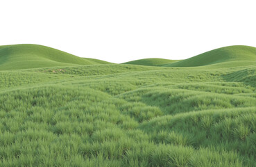 An illustration of overlapping hills covered in deep green grass, in a dreamy style.