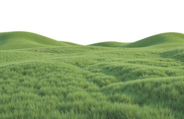 An illustration of overlapping hills covered in deep green grass, in a dreamy style.