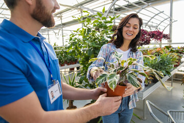 Man florist in small business nursery offering potted plants and flowers for sale to woman