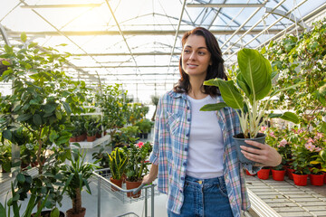 Woman shopping for potted plants in store buying floral decorations and seedlings in greenhouse