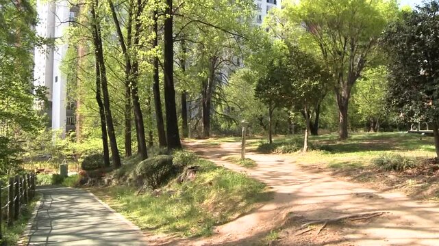 한국 공원 풍경, 산책로