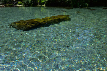 The Ban Nam Rad watershed forest in Surat Thani, Thailand, has crystal clear water, swimming foam board