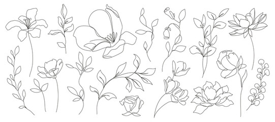 Fototapeta premium Flowers Set One Line Drawing. Vector Outline Flowers and Leaves Branches. Botanical Floral Contour Art. Black Sketch Isolated on White. Great for Prints, Tattoo, Wall Art, Invitation, Greeting Cards