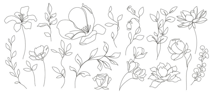 Flowers Set One Line Drawing. Vector Outline Flowers and Leaves Branches. Botanical Floral Contour Art. Black Sketch Isolated on White. Great for Prints, Tattoo, Wall Art, Invitation, Greeting Cards