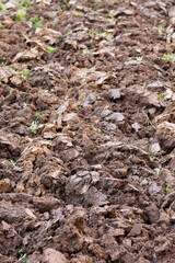 brown plowed soil. spring field. Agriculture. Soil for farming. business agriculture concept. Nurturing the Earth. High quality photo