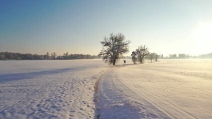 Obraz premium A serene winter landscape with snow-covered fields and bare trees under a clear blue sky.