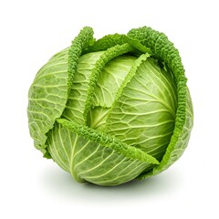 Fototapeta premium cabbage isolated on white background