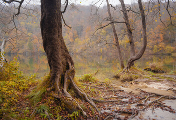 Plitvice Lakes in Croatia during autumn, showcasing stunning waterfalls, vibrant foliage, and crystal-clear waters, creating a magical and serene natural landscape perfect for nature lovers.