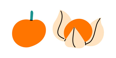 Cape gooseberry fruit isolated on white background. Physalis peruviana, goldenberry, aguaymanto, uvilla or uchuva vector icon. Illustration of exotic tropical fruits in flat style.