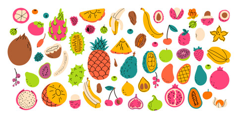 Set hand drawn colorful tropical fruits and berries. Modern abstract minimal style. Natural tropical fruits. Cherry, banana, pomegranate, pineapple, fig . Vector illustration isolate on white . © irina
