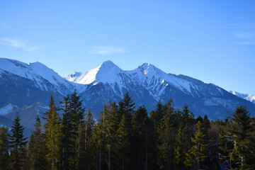 Majestic snow-covered high Tatras rise above the dense evergreen pine forest, breathtaking alpine scene under the clear blue sky. Wilderness and tranquility. Skiers, hikers, adventure lovers. 