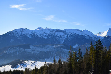 Majestic snow-covered high Tatras rise above the dense evergreen pine forest, breathtaking alpine scene under the clear blue sky. Wilderness and tranquility. Skiers, hikers, adventure lovers. 